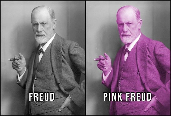 sigmund freud 1856 1939 - Freud Pink Freud