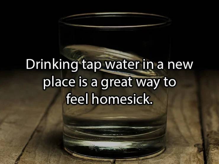 glass - Drinking tap water in a new place is a great way to feel homesick.