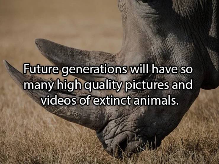 Future generations will have so many high quality pictures and videos of extinct animals.