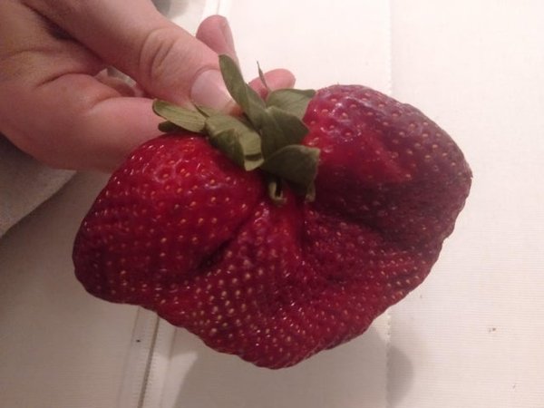 massive things -  strawberry