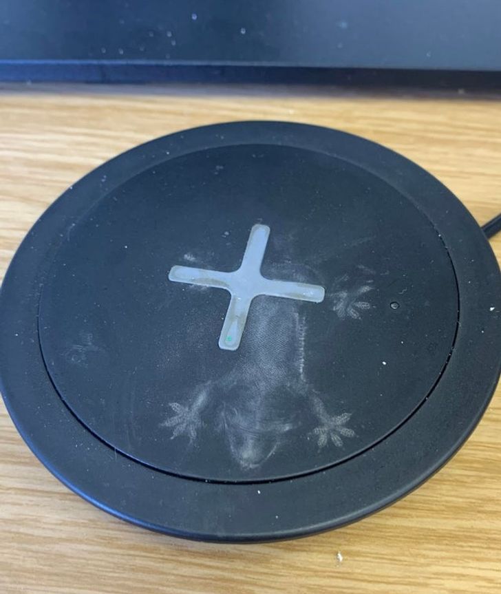 “A lizard fell from the ceiling and left this dusty imprint on my wireless charger.”