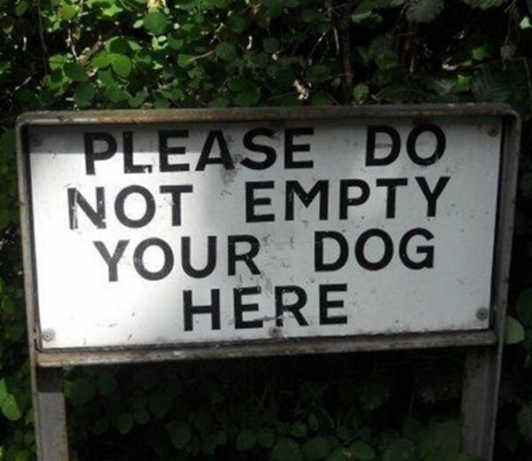 funny english signs - Please Do Not Empty Your Dog Here