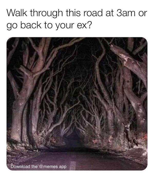 dark forest - Walk through this road at 3am or go back to your ex? Download the app