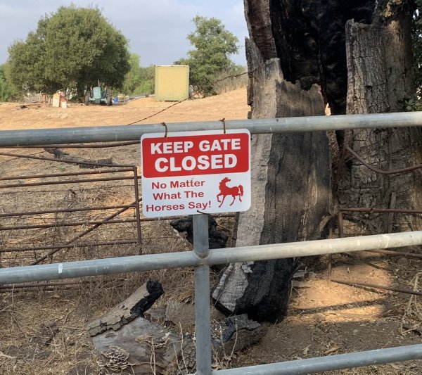 sign - Keep Gate Closed No Matter What The Horses Say!