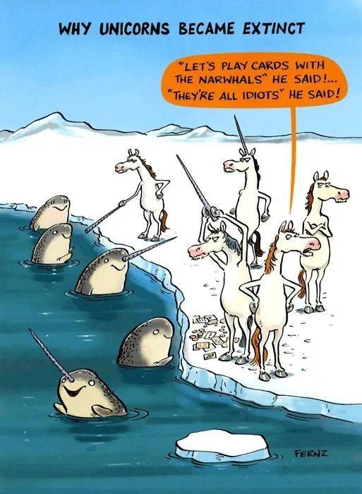 unicorns became extinct - Why Unicorns Became Extinct "Let'S Play Cards With The Narwhals" He Said!... "They'Re All Idiots" He Said! Fernz