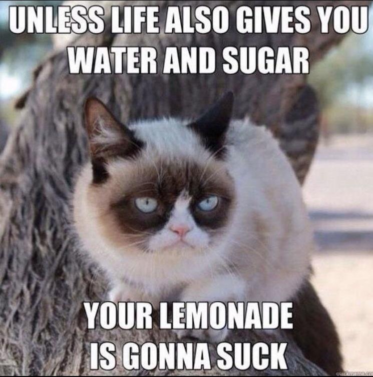 best grumpy cat meme - Unless Life Also Gives You Water And Sugar Your Lemonade Is Gonna Suck