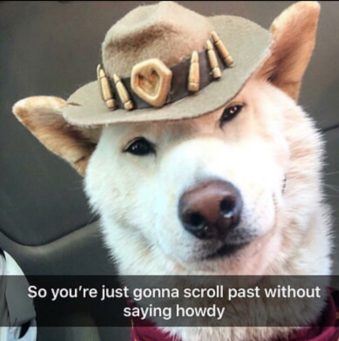 dog howdy meme - So you're just gonna scroll past without saying howdy