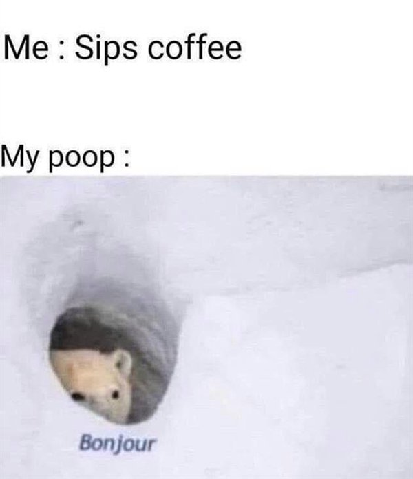 bonjour meme - Me Sips coffee My poop Bonjour