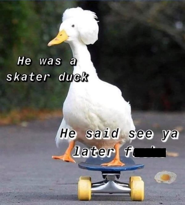 he was a skater duck meme - He was a skater duck He said see ya later ft