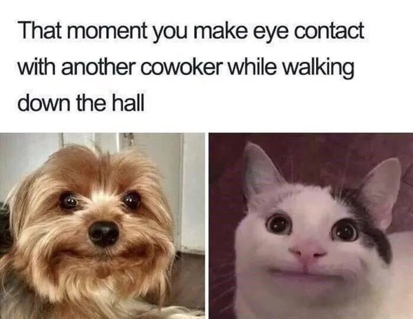work memes - introvert meme - That moment you make eye contact with another cowoker while walking down the hall