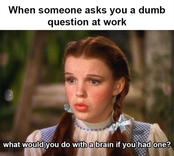 work memes - work memes 2019 - When someone asks you a dumb question at work what would you do with a brain if you had one?
