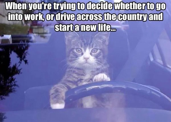 work memes - crazy work day meme - When you're trying to decide whether to go into work, or drive across the country and start a new life...