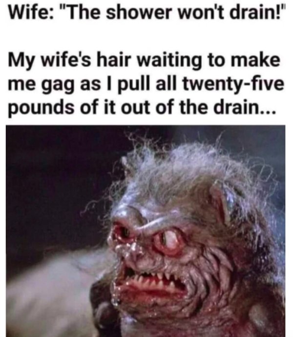 my wife's hair in the drain meme - Wife "The shower won't drain!" My wife's hair waiting to make me gag as I pull all twentyfive pounds of it out of the drain...