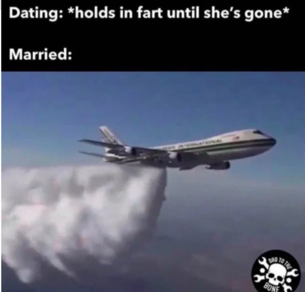 airplane fart meme - Dating holds in fart until she's gone Married Bone