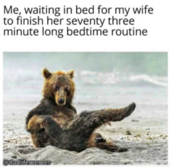 sexi bear - Me, waiting in bed for my wife to finish her seventy three minute long bedtime routine fememes