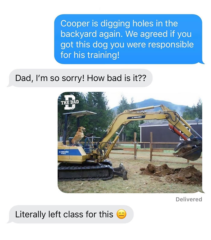 dog digging meme - Cooper is digging holes in the backyard again. We agreed if you got this dog you were responsible for his training! Dad, I'm so sorry! How bad is it?? The Dad Delivered Literally left class for this