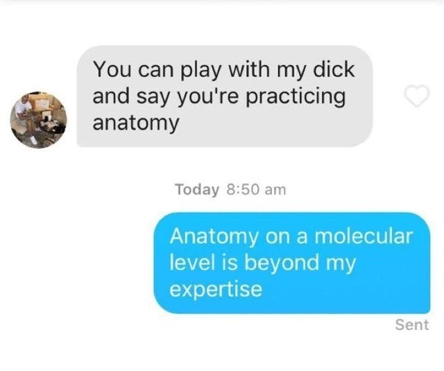 people that got roasted over text - You can play with my dick and say you're practicing anatomy Today Anatomy on a molecular level is beyond my expertise Sent