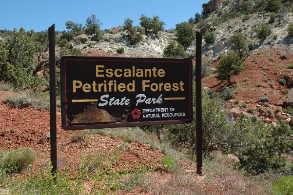 UTAH: THE CURSE ON ESCALANTE PETRIFIED FOREST.Anyone who takes petrified wood from the state park risks bad luck, job loss, sickness, and accidents. Park managers claim they get dozens of packages every year sending back chunks of wood from regretful thieves.