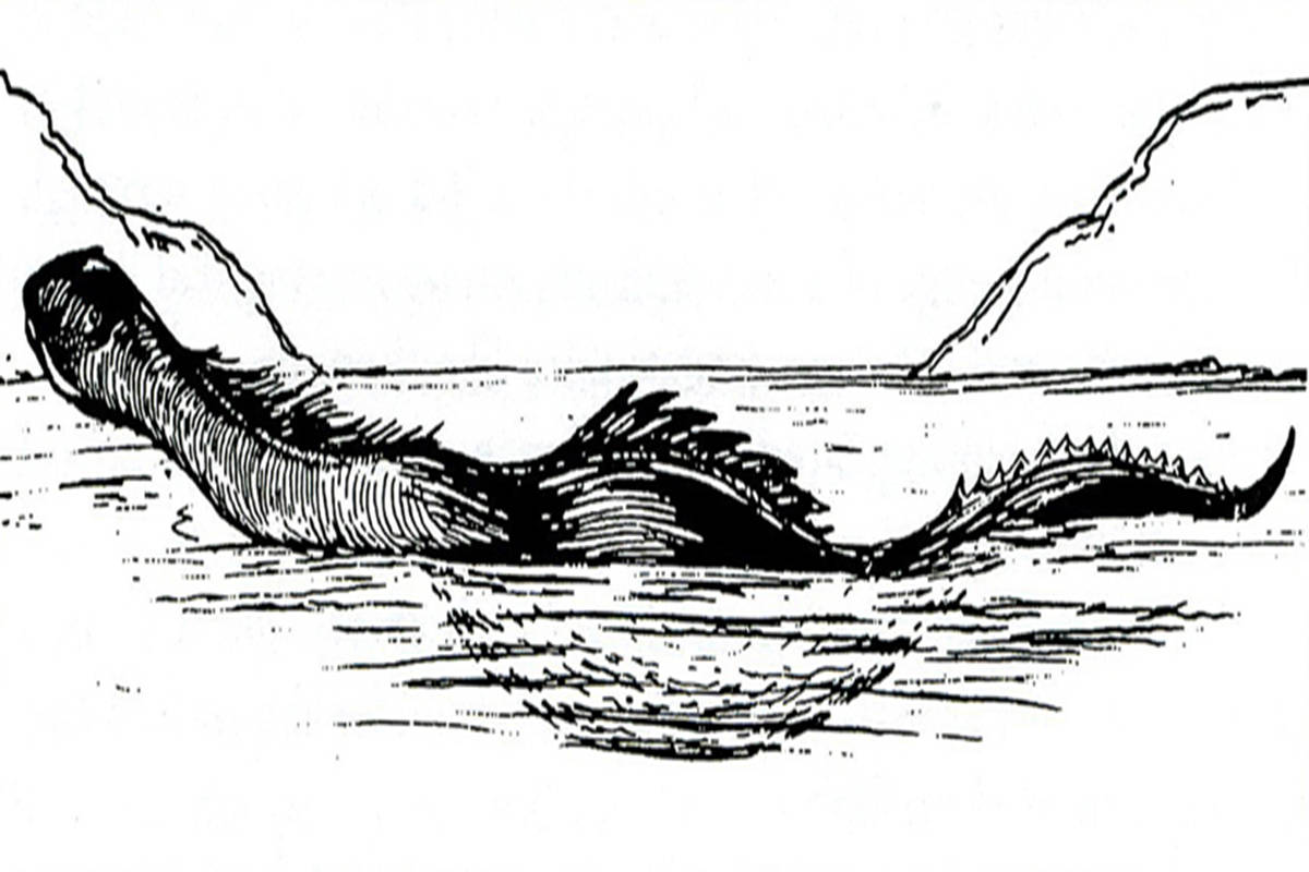 WASHINGTON: CADDY OF CADBORO BAY.While the legendary Bigfoot gets a great deal of attention in this state, you might not have heard of Caddy (short for Cadborosaurus), the local sea monster hanging out in Cadboro Bay.