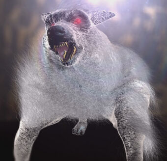 WEST VIRGINIA: THE WHITE THINGS.Mothman might be the more popular mystery, but rural West Virginia is also home to mysterious dog-like creatures the size of a lion with white shaggy fur.