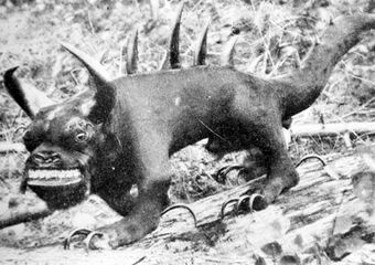 WISCONSIN: THE RHINELANDER HODAG.An ugly, stumpy critter with a spiked tale, the hodag features in Paul Bunyan stories and reportedly likes to eat bulldogs.