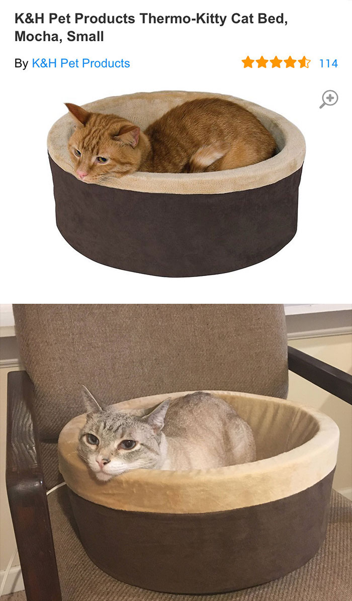 Cat Bed - K&H Pet Products ThermoKitty Cat Bed, Mocha, Small By K&H Pet Products 114