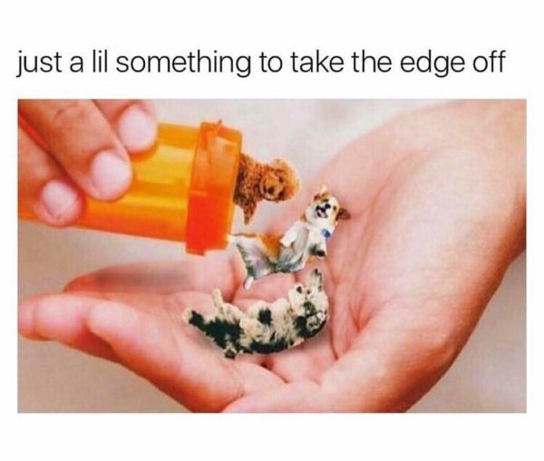 funny meme - just a lil something to take the edge off