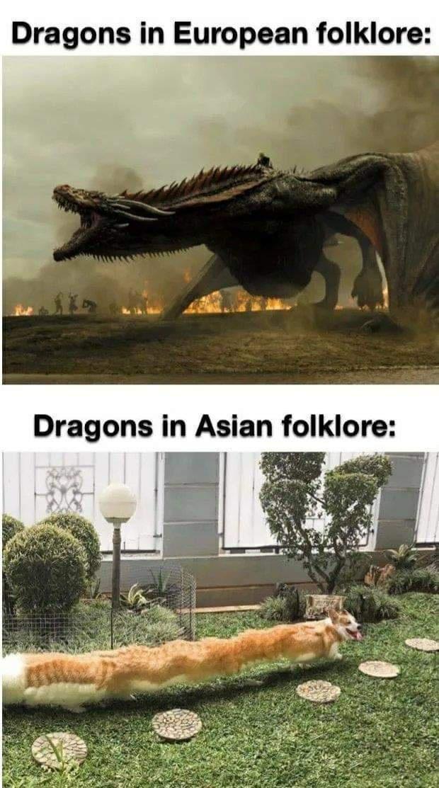 funny meme - dragons in european folklore - dragons in asian folklore