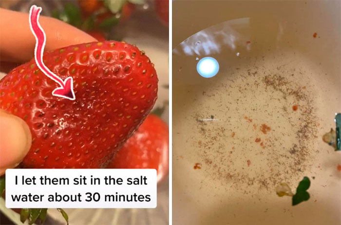 strawberries in salt water bugs - I let them sit in the salt water about 30 minutes