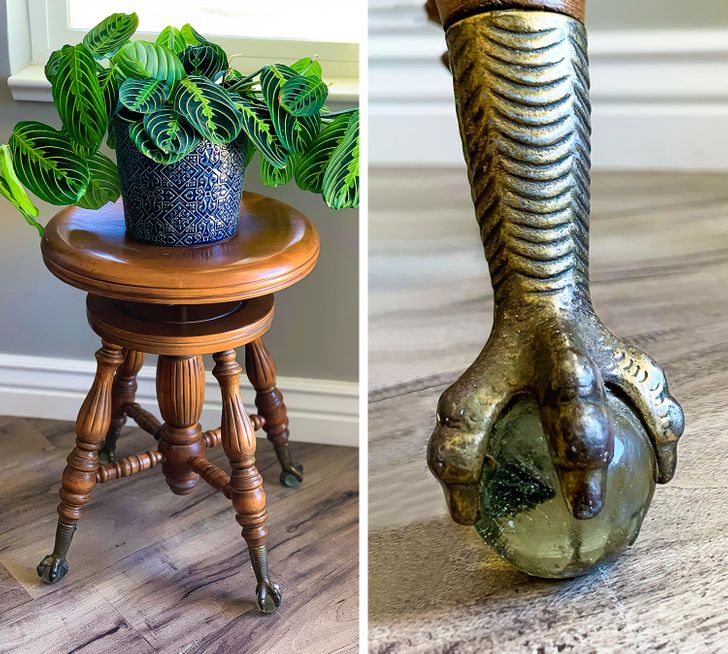“I went looking for a plant stand and found this awesome stool. Look at those talons!”
