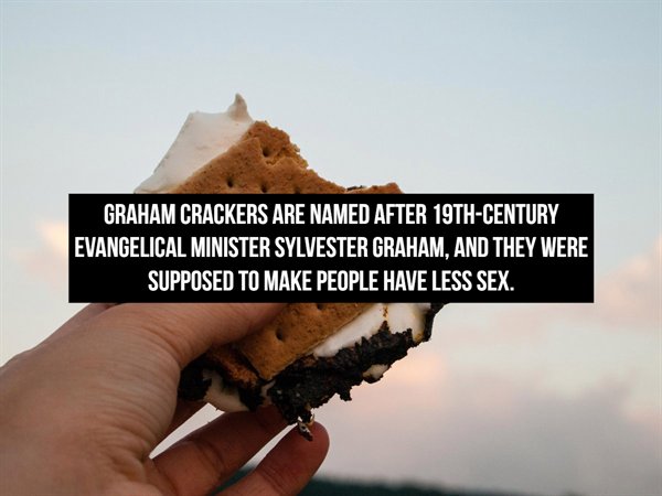 smores in hand - Graham Crackers Are Named After 19THCentury Evangelical Minister Sylvester Graham, And They Were Supposed To Make People Have Less Sex.