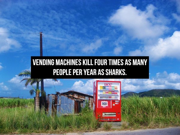 Vending Machines Kill Four Times As Many People Per Year As Sharks. 100