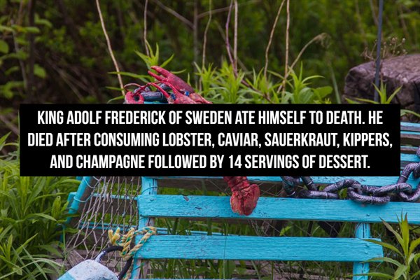 flora - King Adolf Frederick Of Sweden Ate Himself To Death. He Died After Consuming Lobster, Caviar, Sauerkraut, Kippers, And Champagne ed By 14 Servings Of Dessert.
