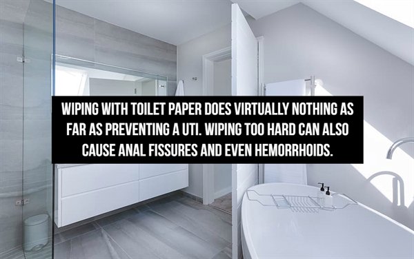 bathroom design ideas - Wiping With Toilet Paper Does Virtually Nothing As Far As Preventing A Uti. Wiping Too Hard Can Also Cause Anal Fissures And Even Hemorrhoids.