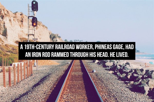 train tracks beach - A 19THCentury Railroad Worker, Phineas Gage, Had An Iron Rod Rammed Through His Head. He Lived.