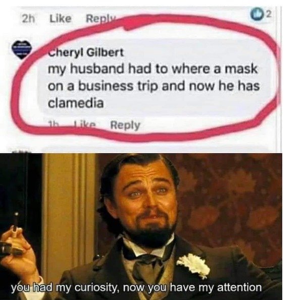 leonardo dicaprio memes django - 2h 2 Cheryl Gilbert my husband had to where a mask on a business trip and now he has clamedia 11 you had my curiosity, now you have my attention