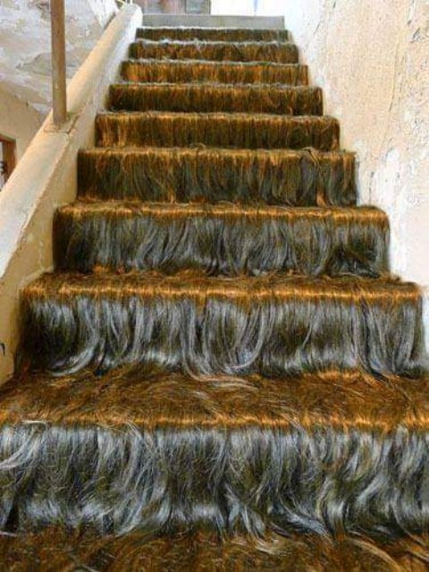 hairy stairs