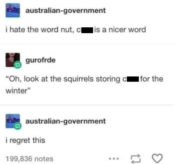 web page - australiangovernment i hate the word nut, cu is a nicer word gurofrde for the "Oh, look at the squirrels storing winter" australiangovernment i regret this 199,836 notes . 17 O