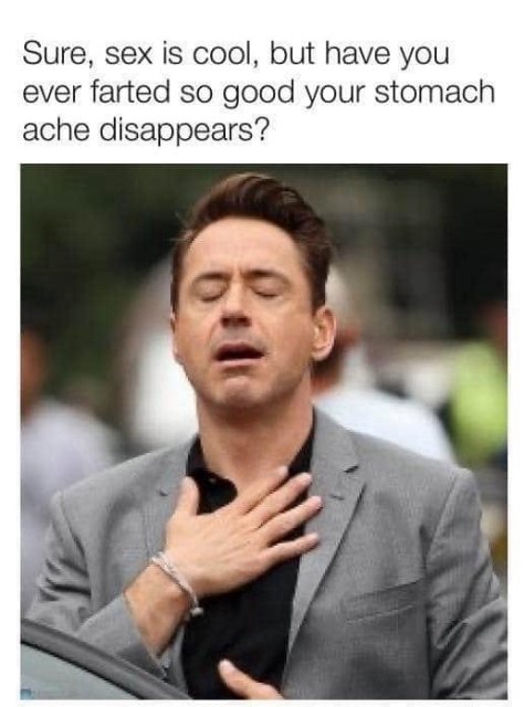 iron man thank god meme - Sure, sex is cool, but have you ever farted so good your stomach ache disappears?