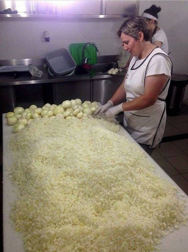 cool pictures - woman cutting a lot of onions