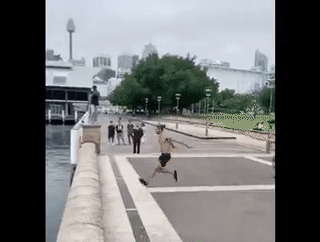 cool pictures - guy jumping onto pillar gif