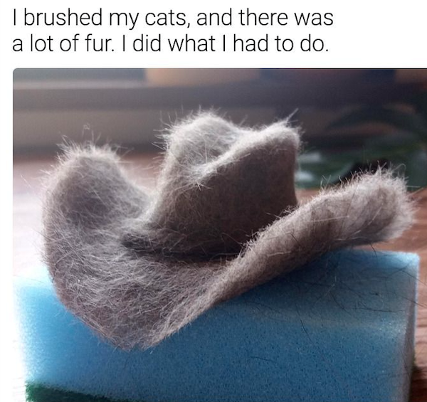cool pictures - I brushed my cats and thee was a lot of fur. I did what I had to do