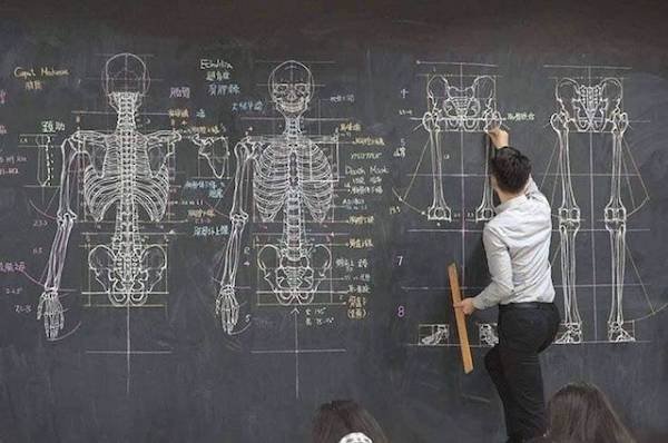 cool pictures - teacher's extremely detailed diagrams of human skeletons