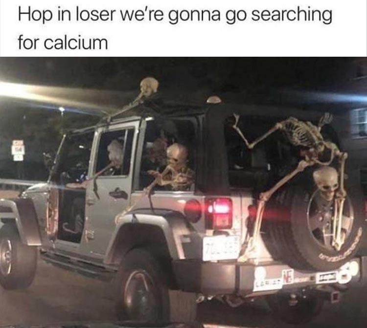 hop in loser we re searching for calcium - Hop in loser we're gonna go searching for calcium la