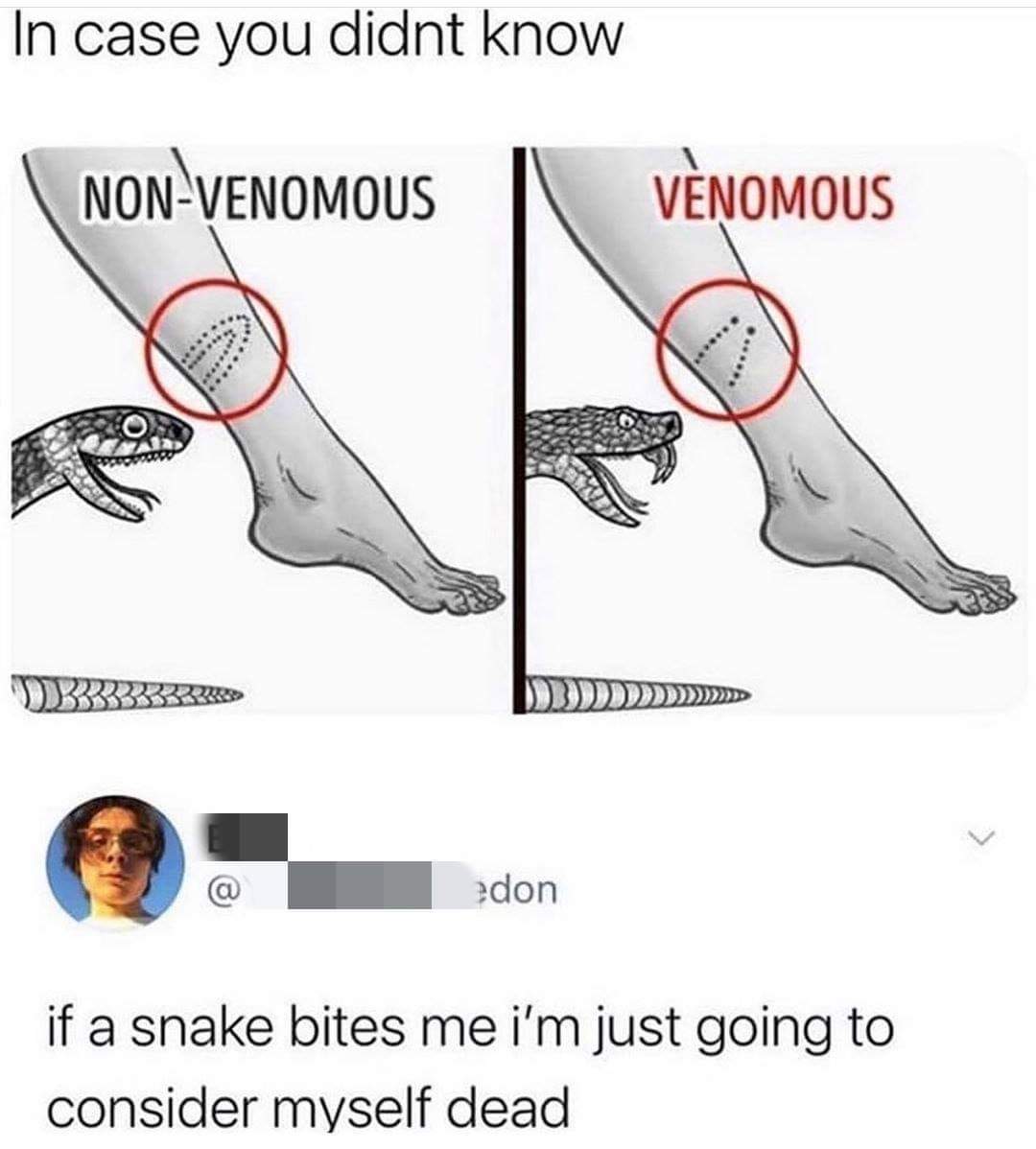 wilderness survival tips - In case you didnt know NonVenomous Venomous proved 0333333333 edon if a snake bites me i'm just going to consider myself dead