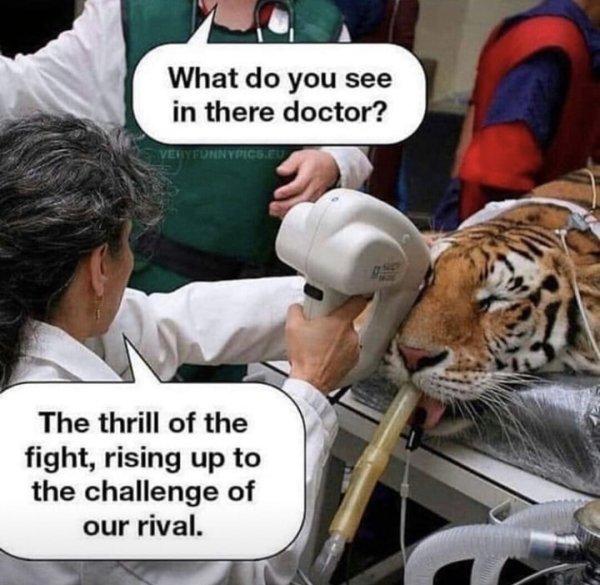 veterinarian jokes - What do you see in there doctor? Ven Nypics.Eu The thrill of the fight, rising up to the challenge of our rival.