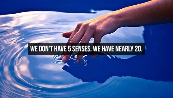 We Don'T Have 5 Senses. We Have Nearly 20.