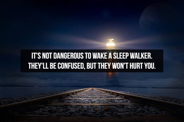 temple bar company - It'S Not Dangerous To Wake A Sleep Walker. They'Ll Be Confused, But They Won'T Hurt You.