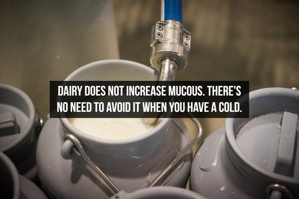 kenya blockade of uganda's milk - loo Dairy Does Not Increase Mucous. There'S No Need To Avoid It When You Have A Cold.