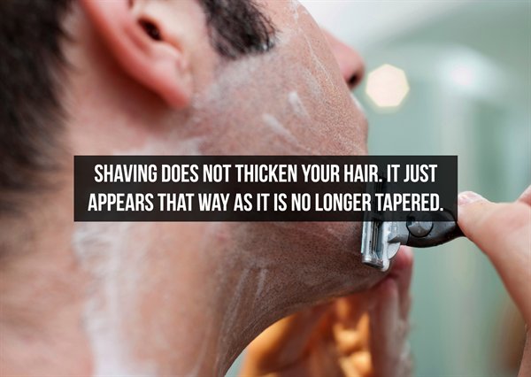 shaving causing acne - Shaving Does Not Thicken Your Hair. It Just Appears That Way As It Is No Longer Tapered.